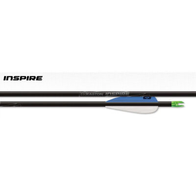 Easton Inspire - Sadece Shaft - 1